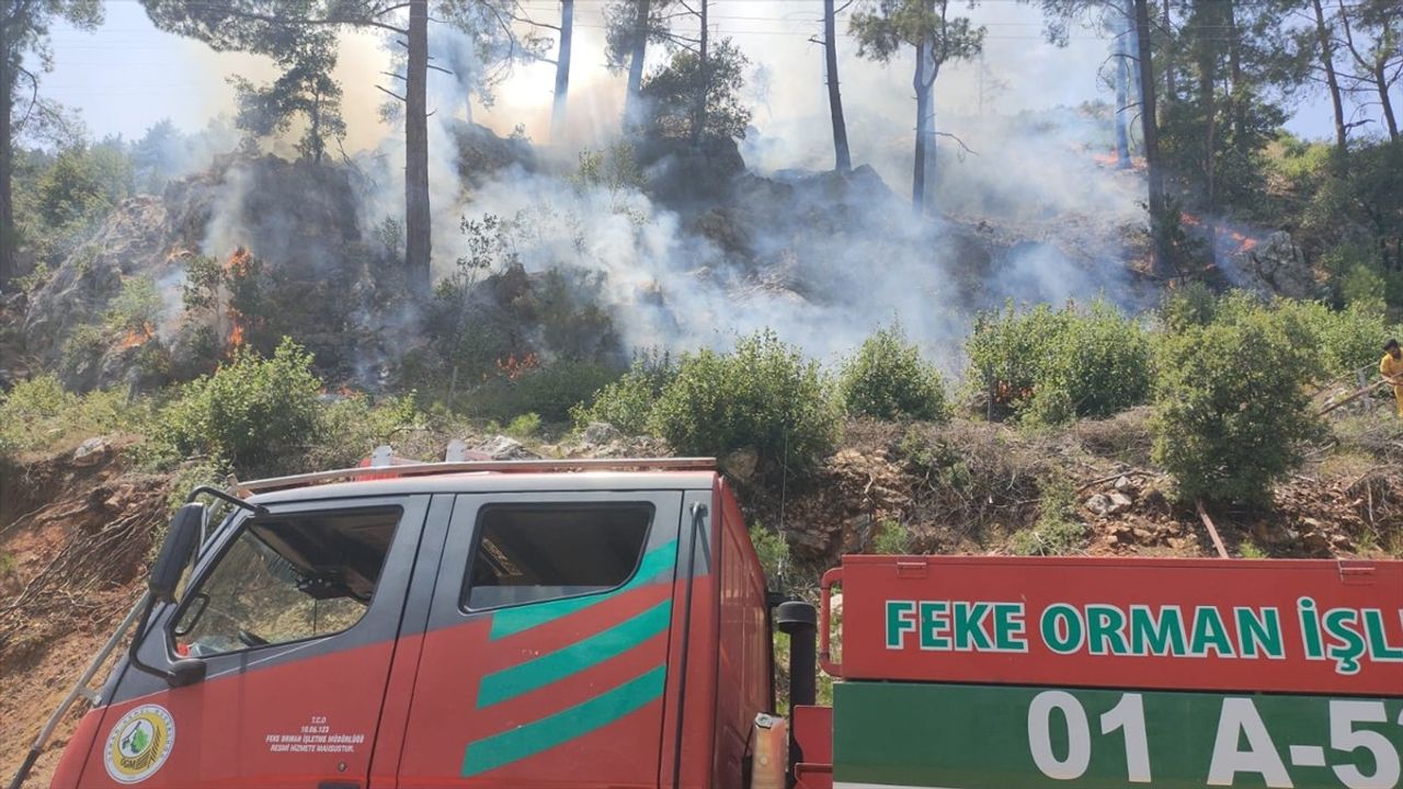 Adana'da Orman Yangınına Hızla Müdahale Ediliyor