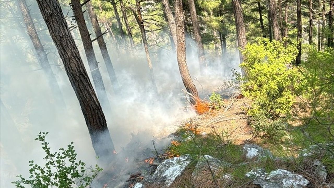 Adana'daki Orman Yangını Kontrol Altına Alındı