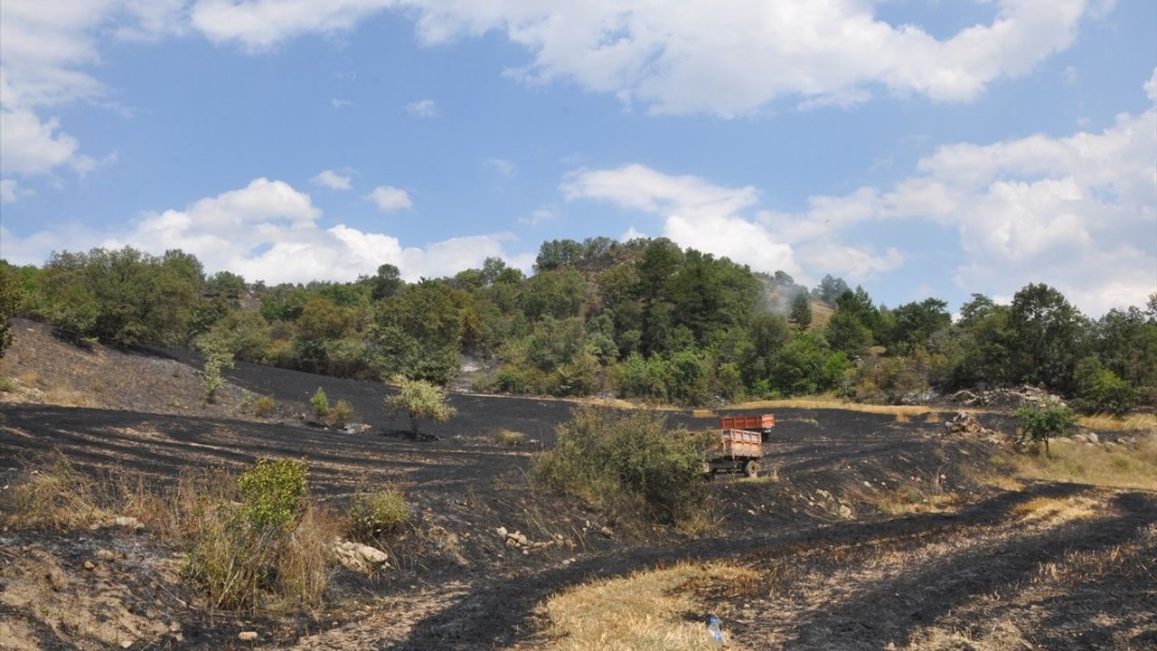 Amasya'da Yangın: 15 Dönüm Buğday Arazisi Zarar Gördü