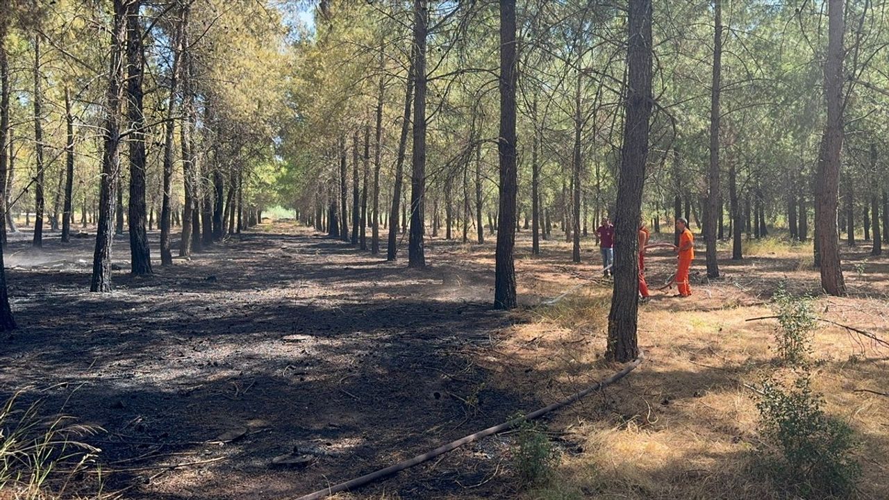 Antalya'da Orman Yangını Kontrol Altına Alındı