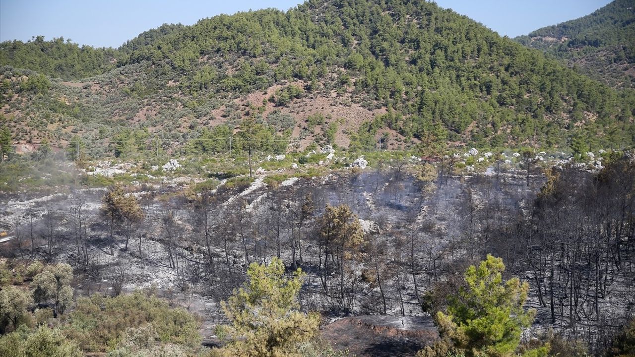 Antalya'nın Orman Yangınına Hızla Müdahale Ediliyor