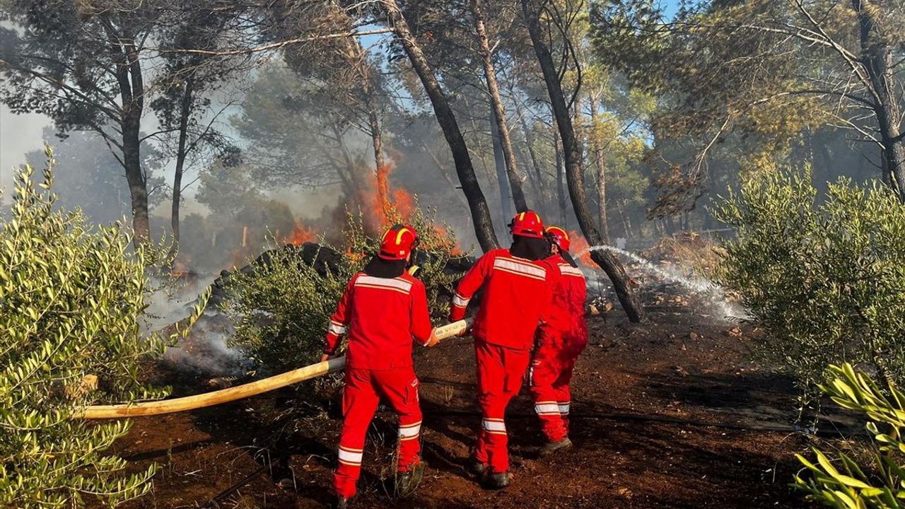 Arnavutluk'ta Orman Yangını Tehdit Saçıyor