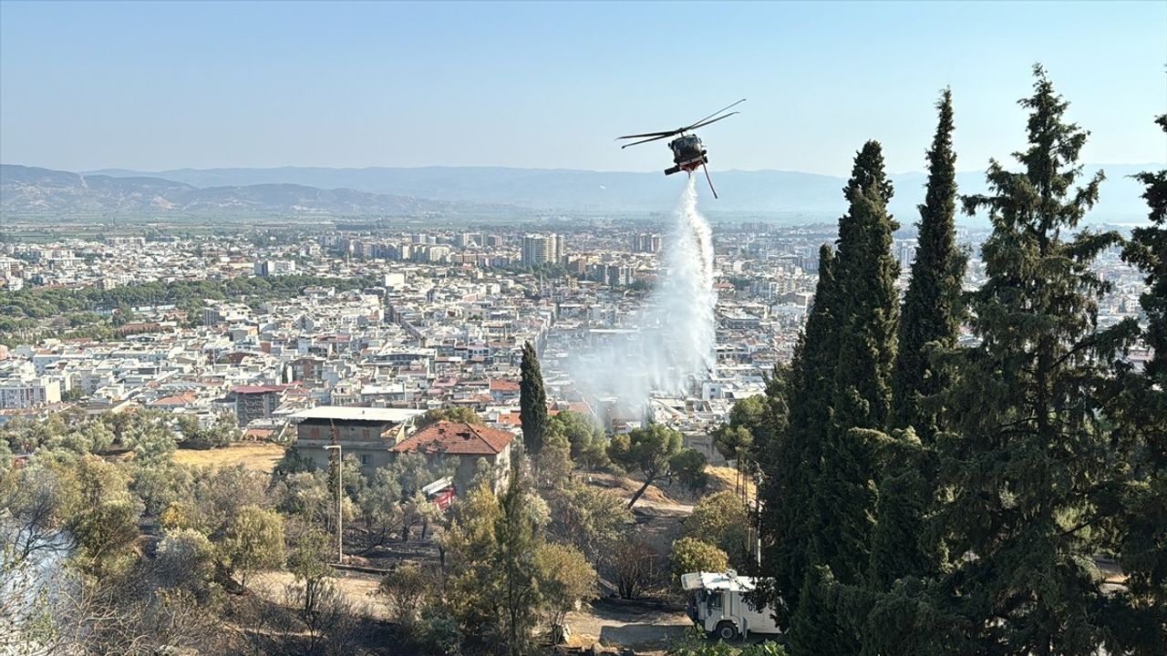 Aydın'da otluk ve zeytinlik alanda çıkan yangın kontrol altına alındı