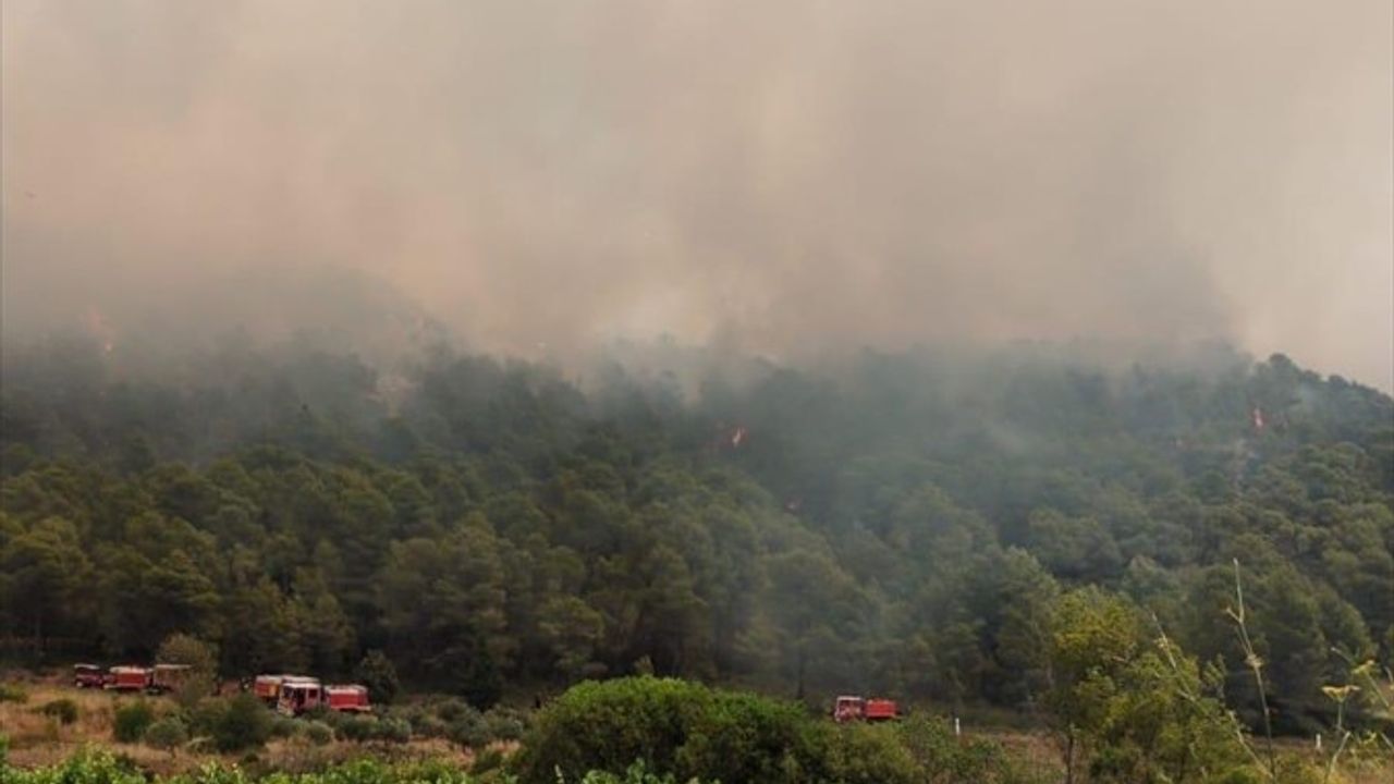 Fransa'da Orman Yangını: 65 Hektar Kül Oldu