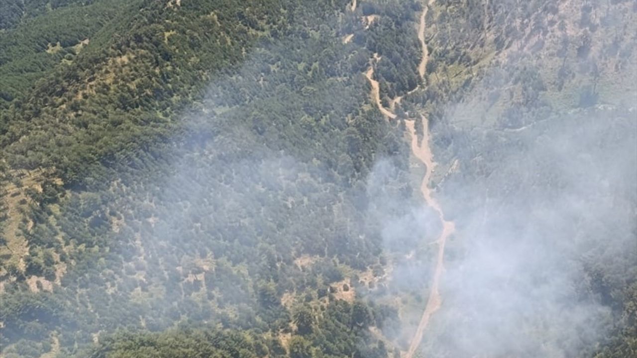 İvrindi'de Orman Yangınına Müdahale Başlatıldı