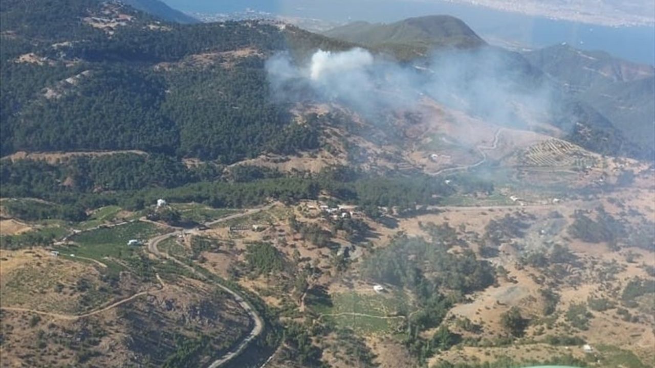 İzmir'de Orman Yangınına Hızla Müdahale