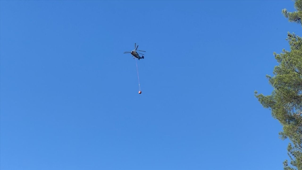 Kahramanmaraş'ta Orman Yangınına Hızlı Müdahale