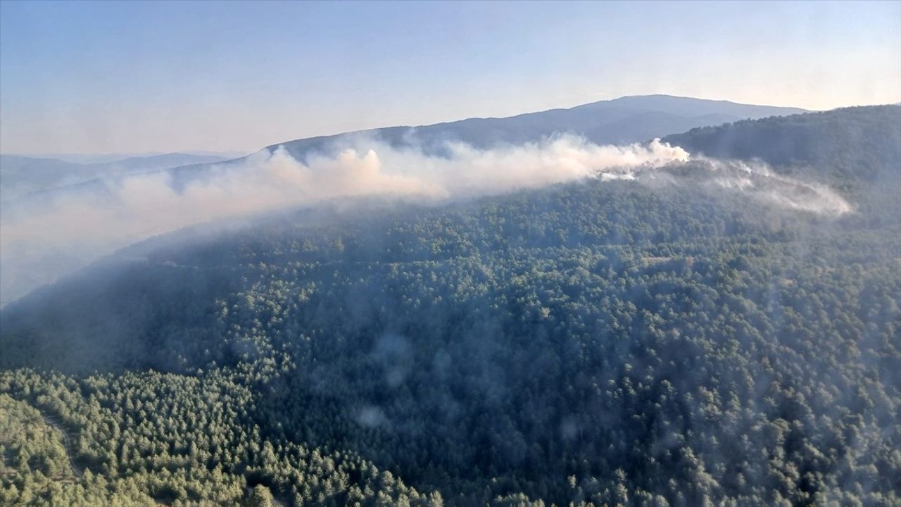 Karabük'te Orman Yangınına Hızlı Müdahale