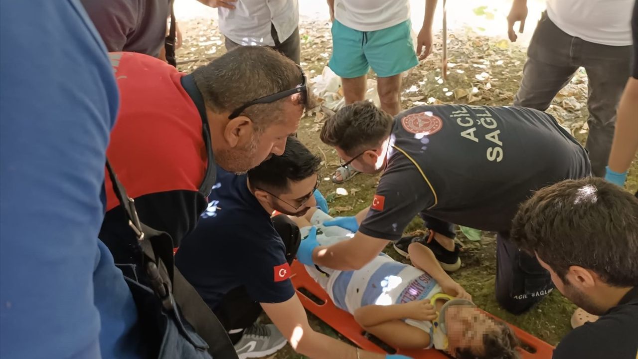 Kivi Asmaları Çocuğu Kurtardı: Yalova'da 5. Kattan Düşme Olayı