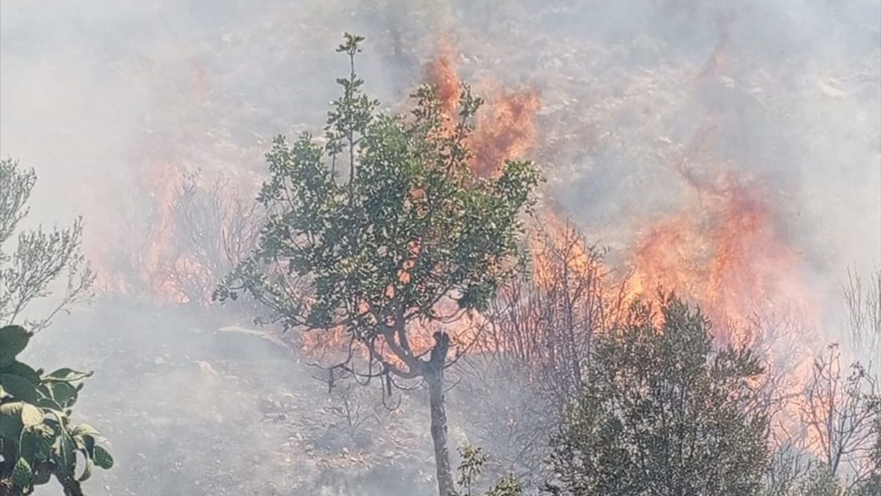 Mersin'deki Zirai Yangın Kontrol Altına Alındı