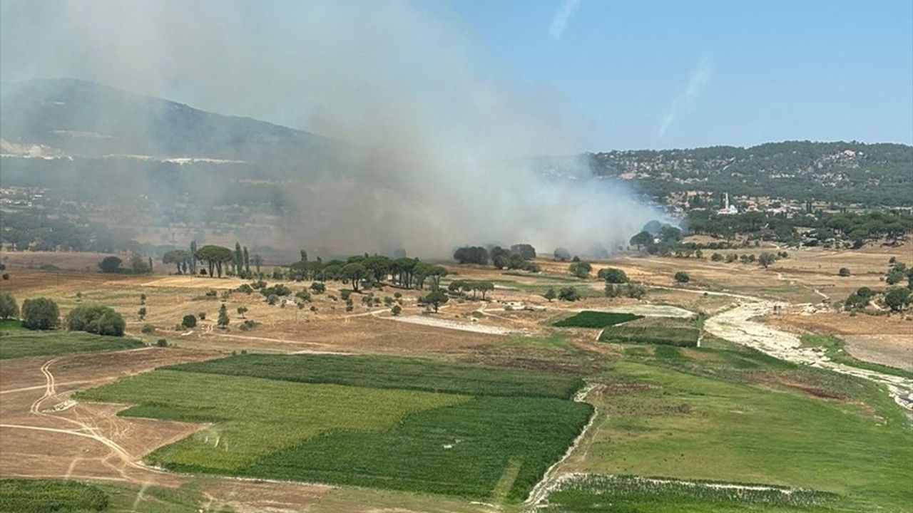 Muğla'nın Milas İlçesinde İkinci Orman Yangını