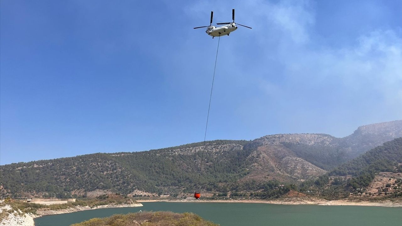 Muğla'nın Milas İlçesinde Orman Yangını Kontrol Altında