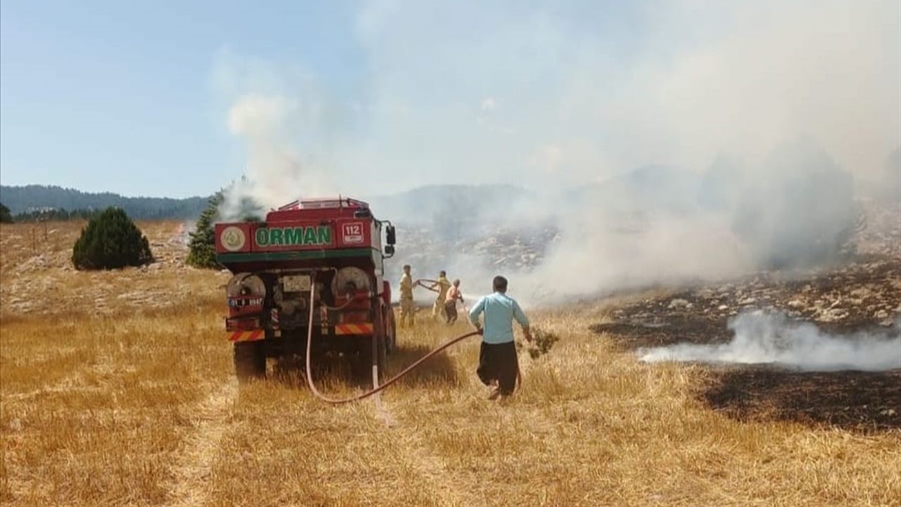 Adana'daki Anız Yangını Kontrol Altına Alındı