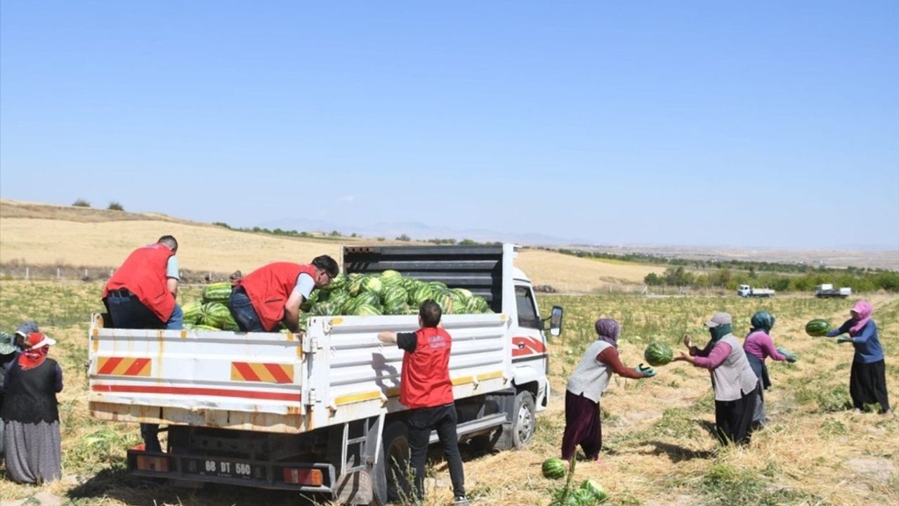 Aksaray'da Üreticilere Destek: 80 Ton Karpuz Dağıtıldı