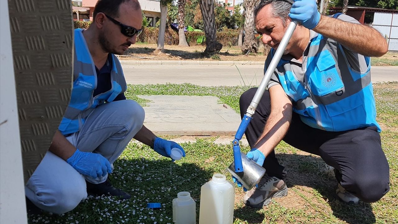 Antalya Büyükşehir Belediyesi'ne Deniz Kirliliği Nedeniyle Cezai İşlem