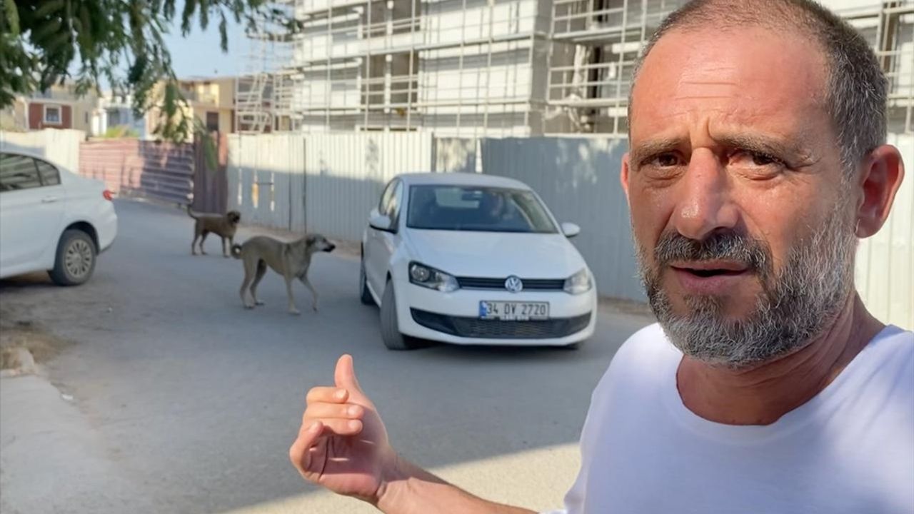 Antalya'da Sahiplenilen Saldırgan Köpeğin Yeniden Sokağa Bırakılması İddiası