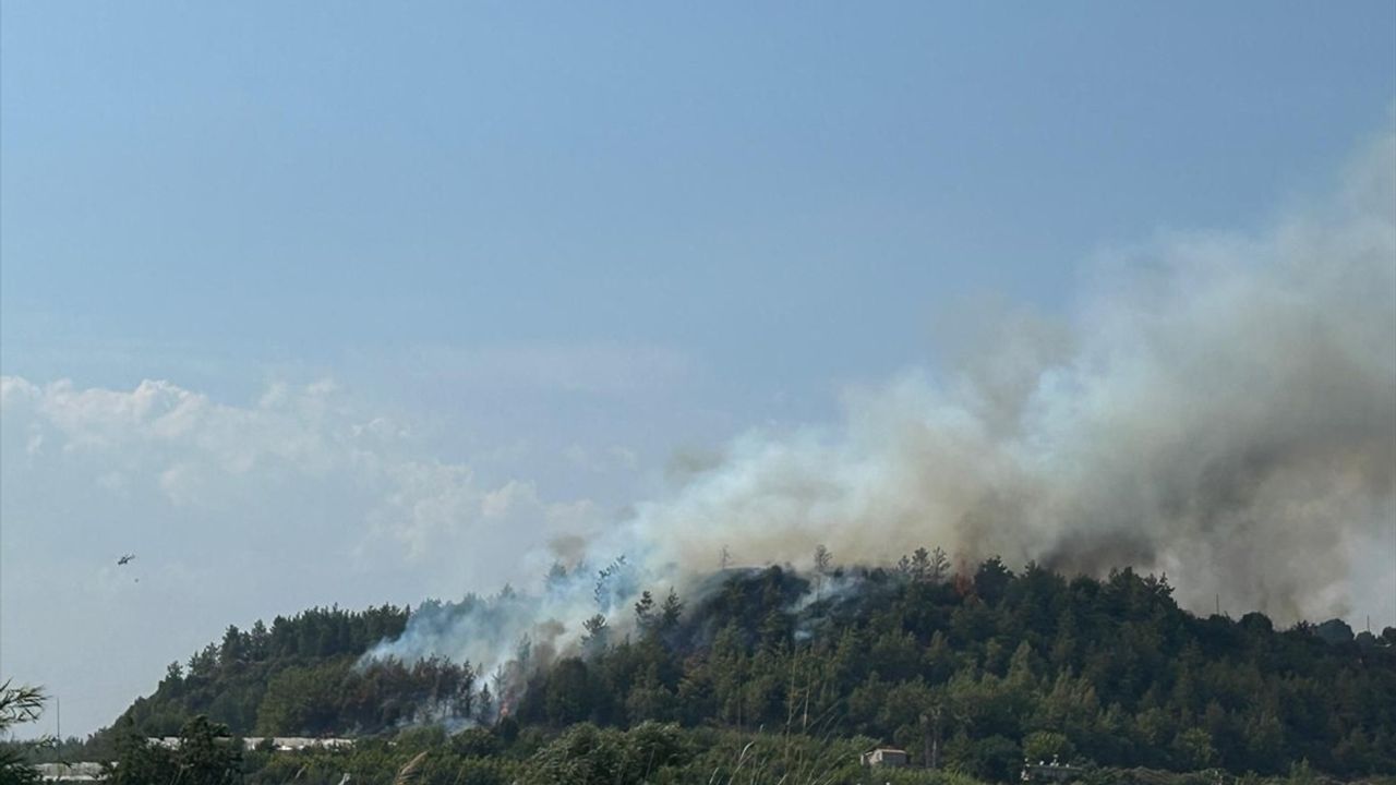 Antalya'nın Aksu İlçesinde Orman Yangını Kontrol Altına Alındı