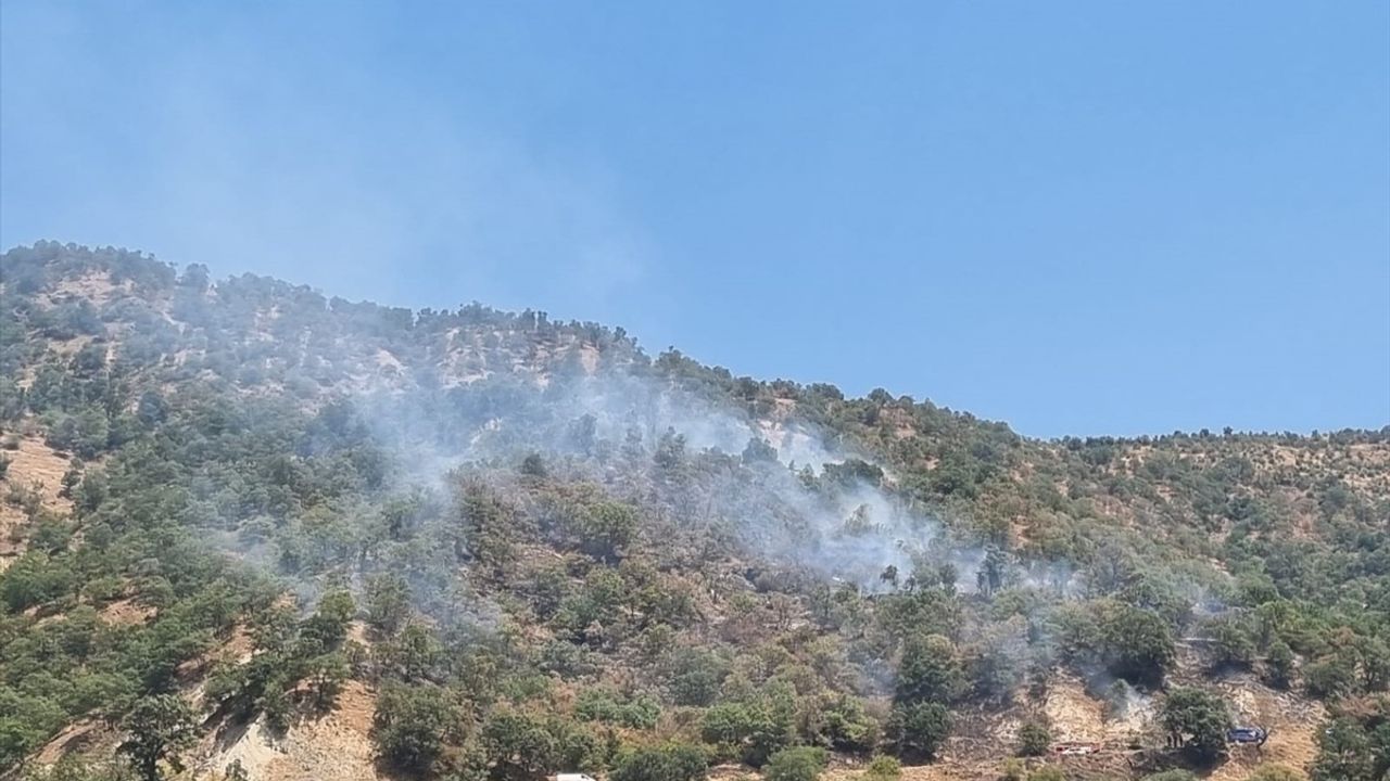 Aydın'da Otomobil Yangını Ormanda Kontrol Altına Alındı