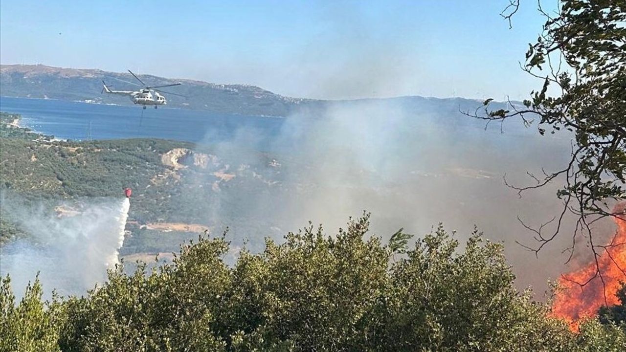 Balıkesir'de Orman Yangınına Hızlı Müdahale