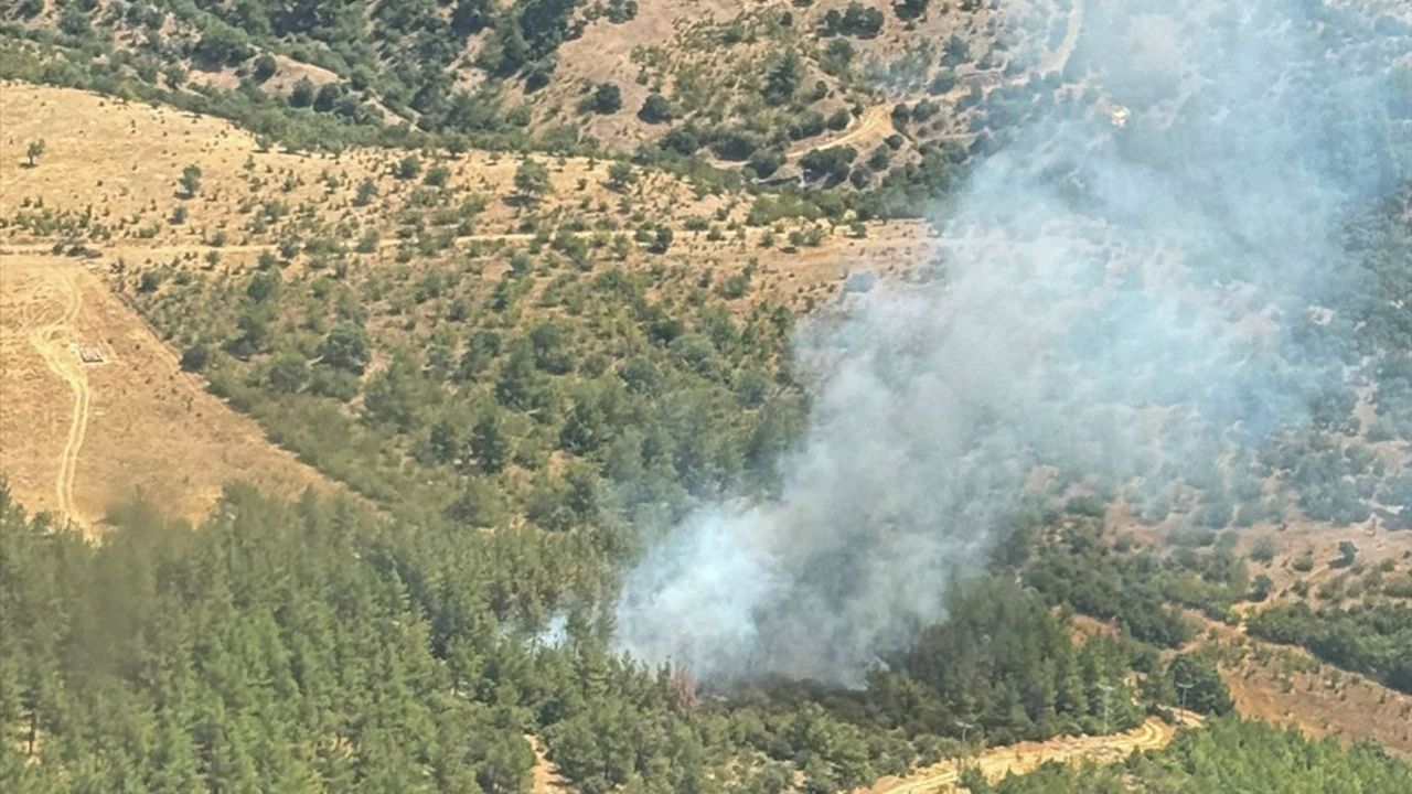 Balıkesir'deki Orman Yangını Kontrol Altına Alındı