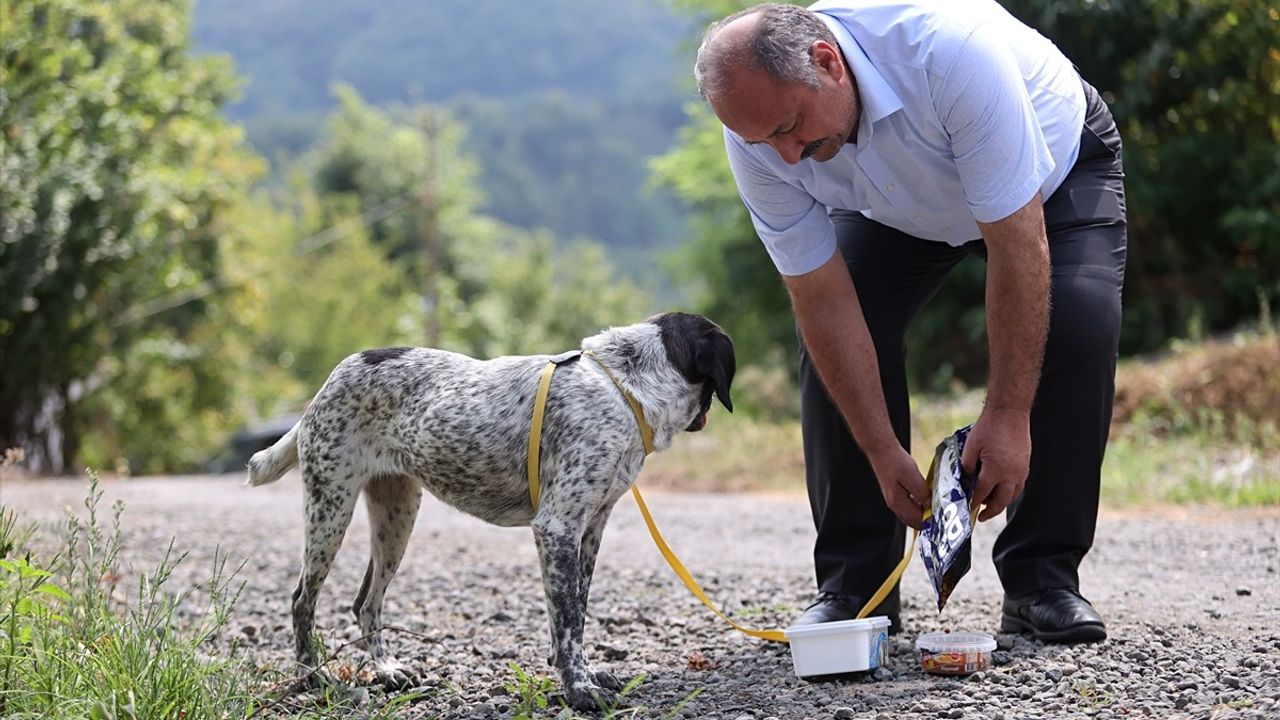 Belediye Başkanı Karaca, Hasta Köpeği Sahiplenerek Örnek Oluyor