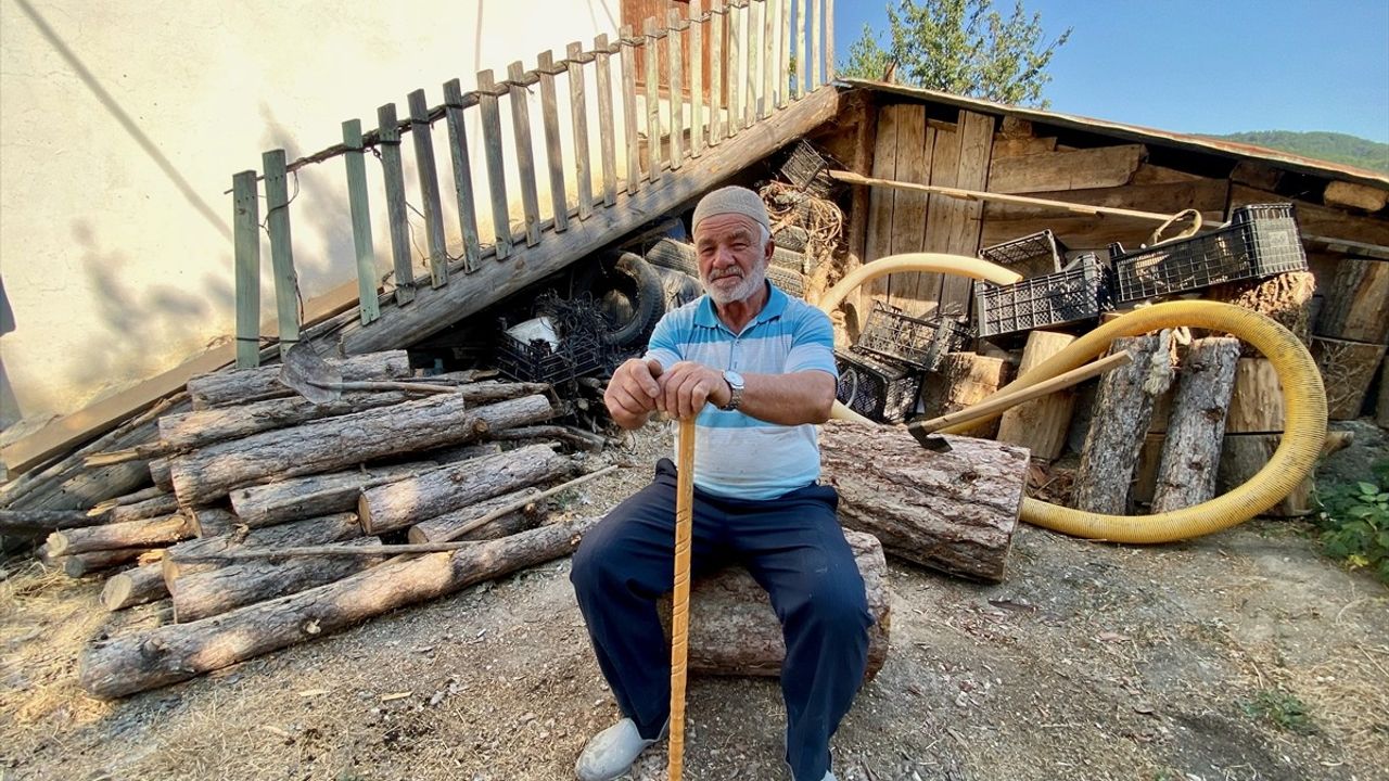 Bolu'daki Orman Yangını Sonrası Evlerine Dönmeye Başlayan Vatandaşlar