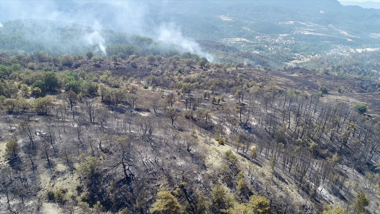 Bolu'daki Yangınla İlgili Mücadele 71 Saatten Fazla Sürüyor