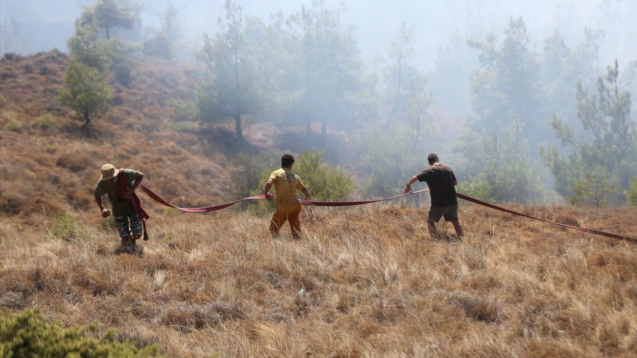 Bozcaada'daki Tarım Arazisi Yangını Ormana Sıçradı