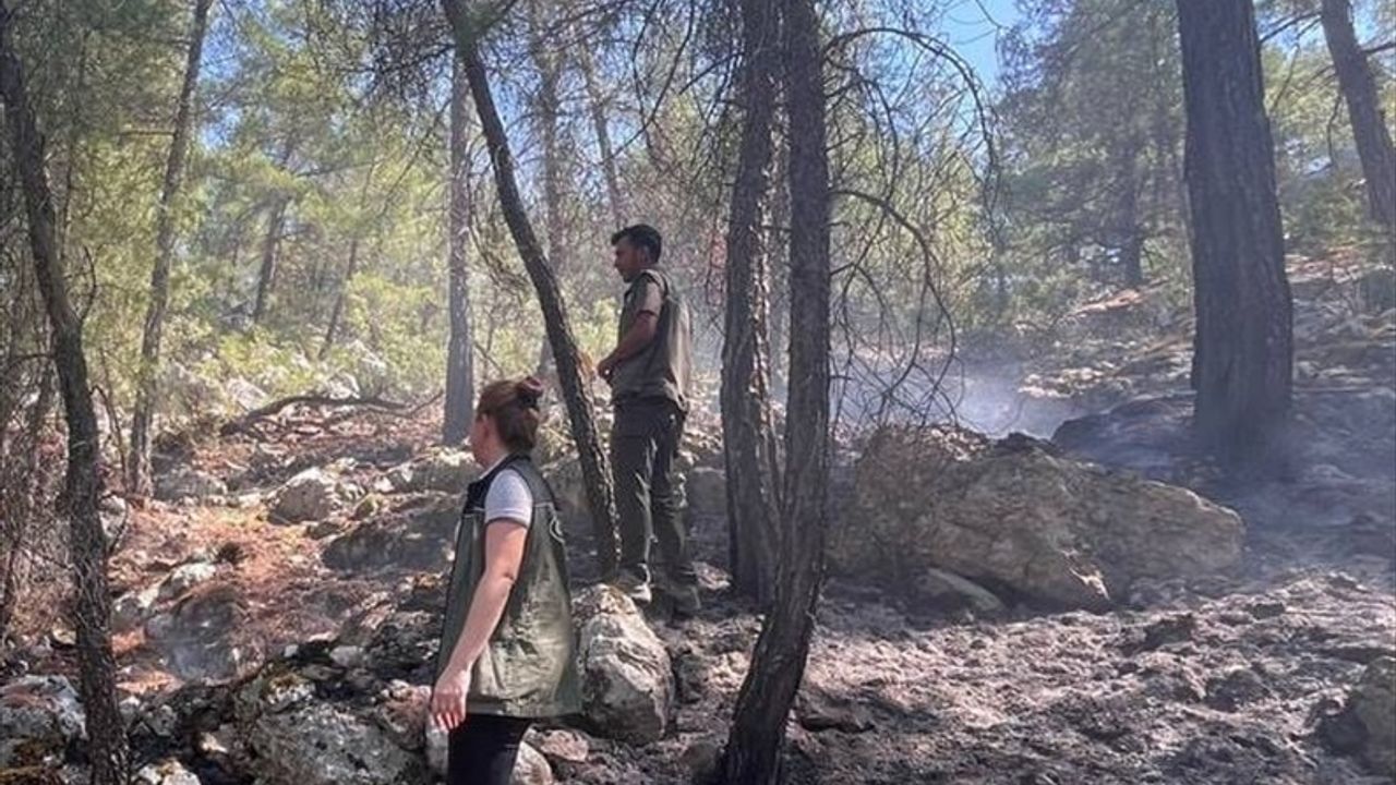 Burdur'da Yıldırım Faciası Orman Yangını Kontrol Altına Alındı