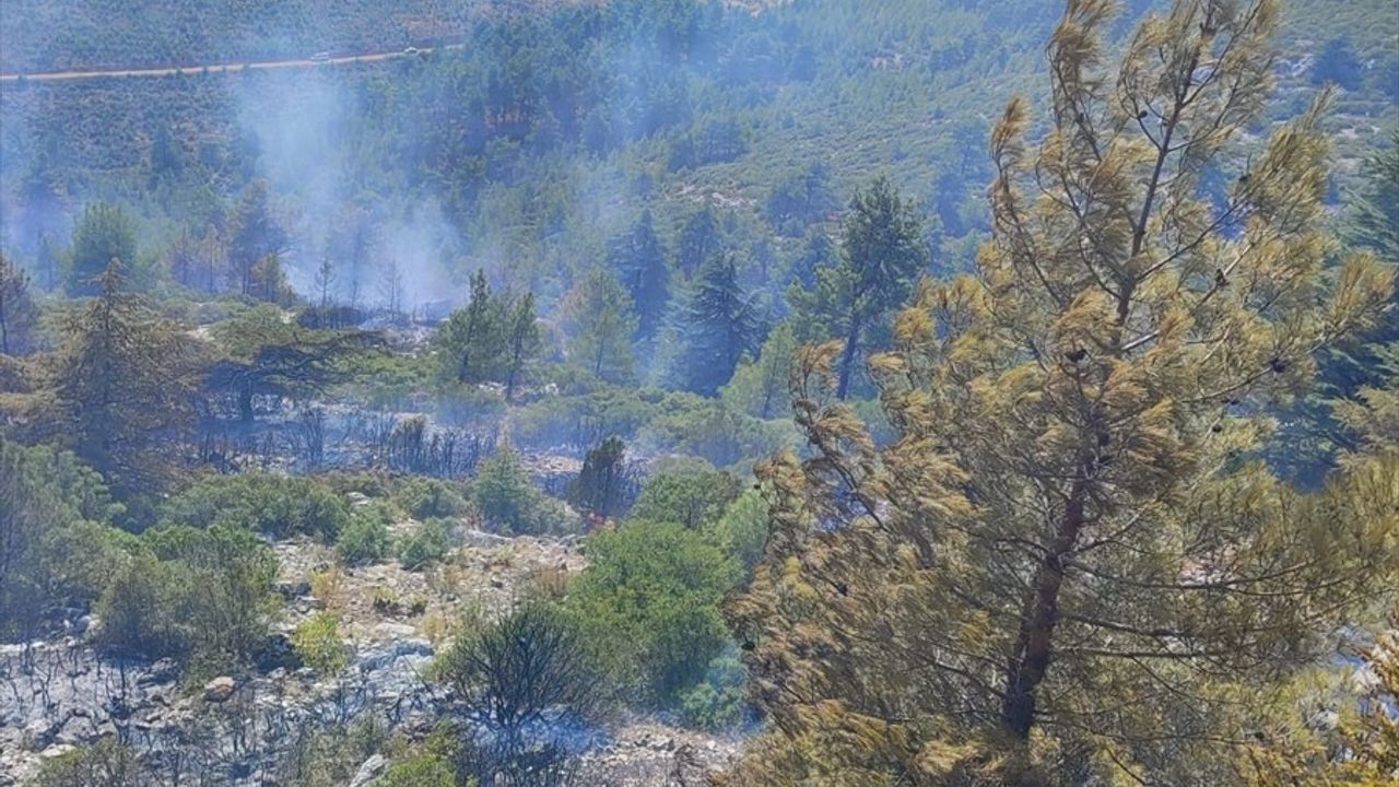 Burdur'daki Orman Yangını Kontrol Altına Alındı