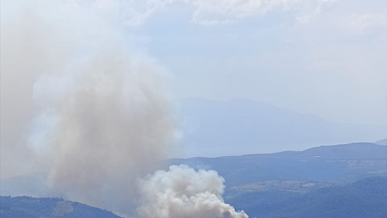 Bursa'da İznik'te Orman Yangınına Müdahale