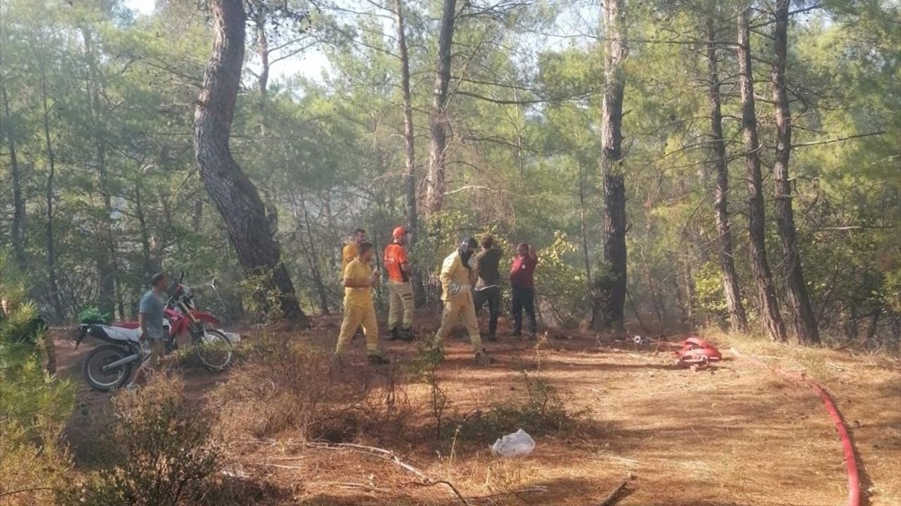 Çanakkale Ayvacık’ta Orman Yangınına Hızlı Müdahale