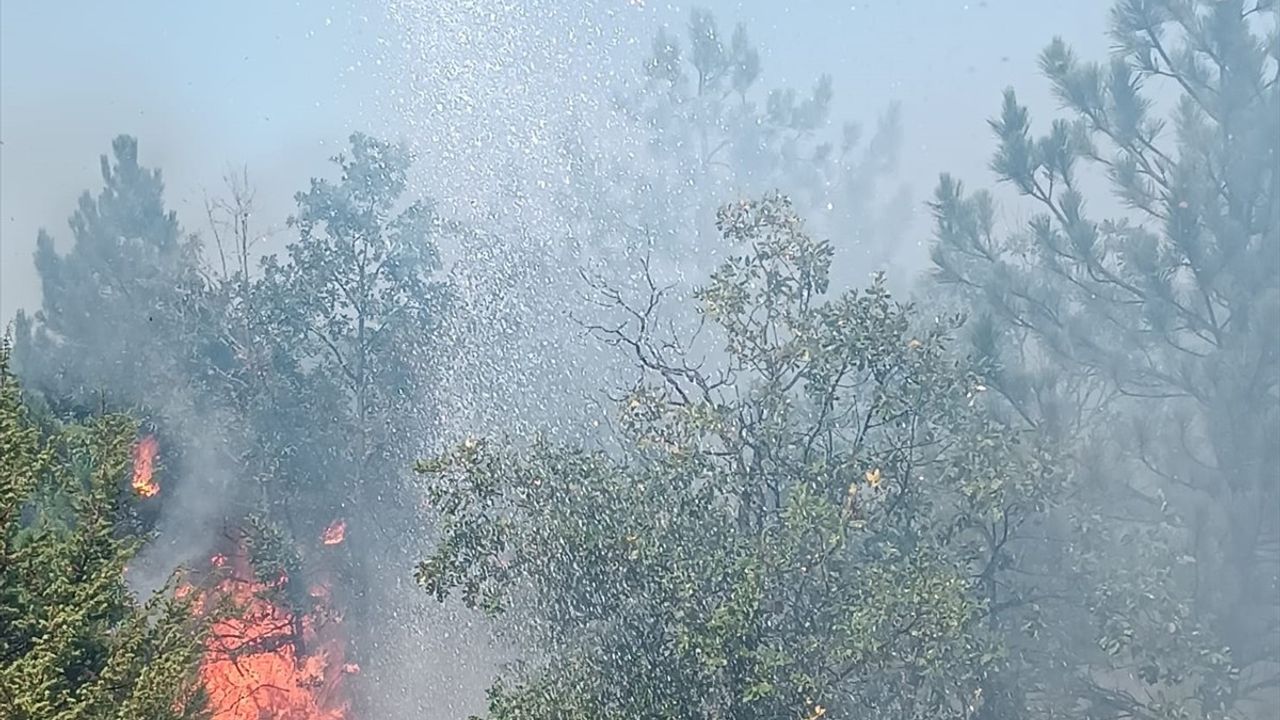 Çekerek'te Orman Yangını: Ekipler Müdahale Ediyor