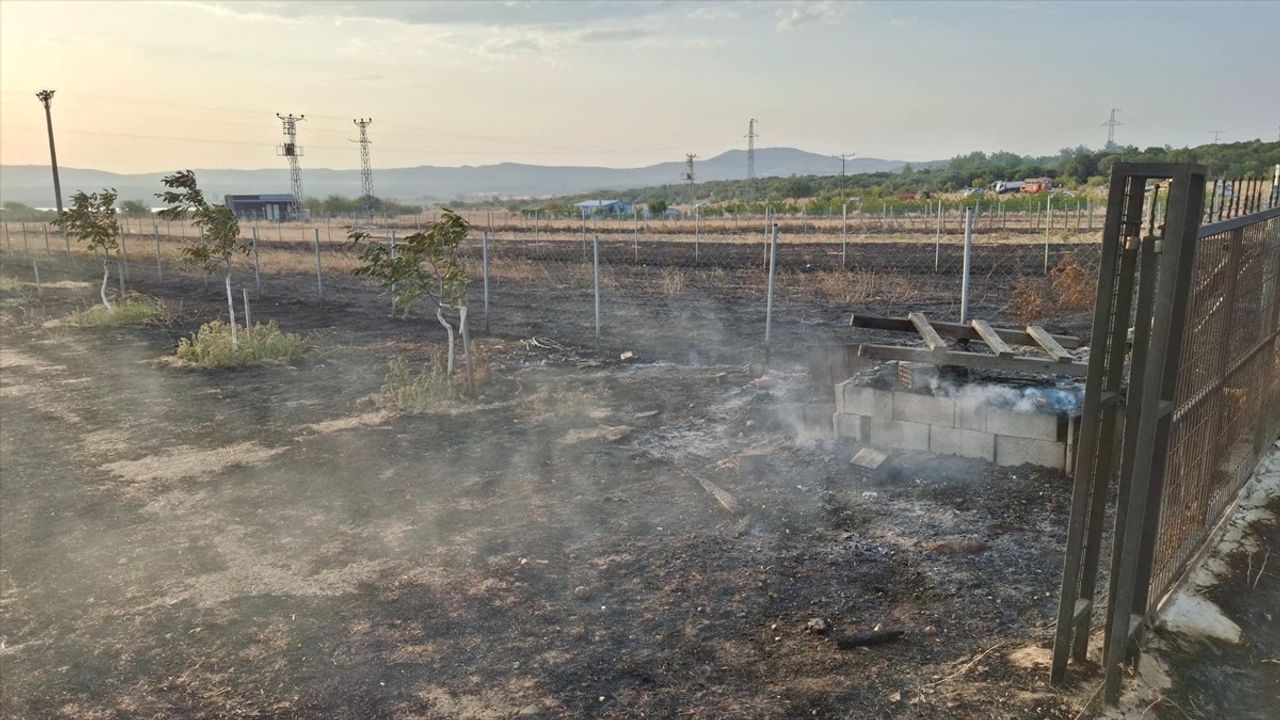 Edirne'deki Orman Yangını Kontrol Altına Alındı