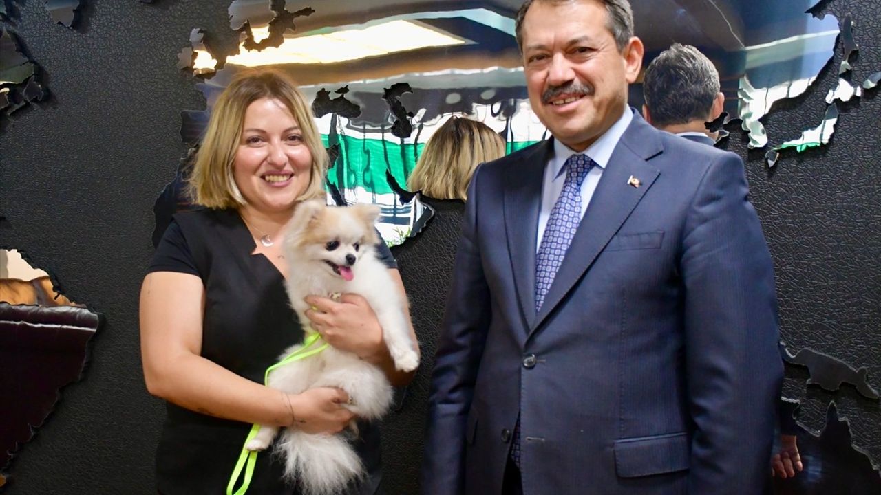 Eskişehir'de Köpeğine Kötü Muamelede Bulunan Şüpheli Adliyeye Sevk Edildi