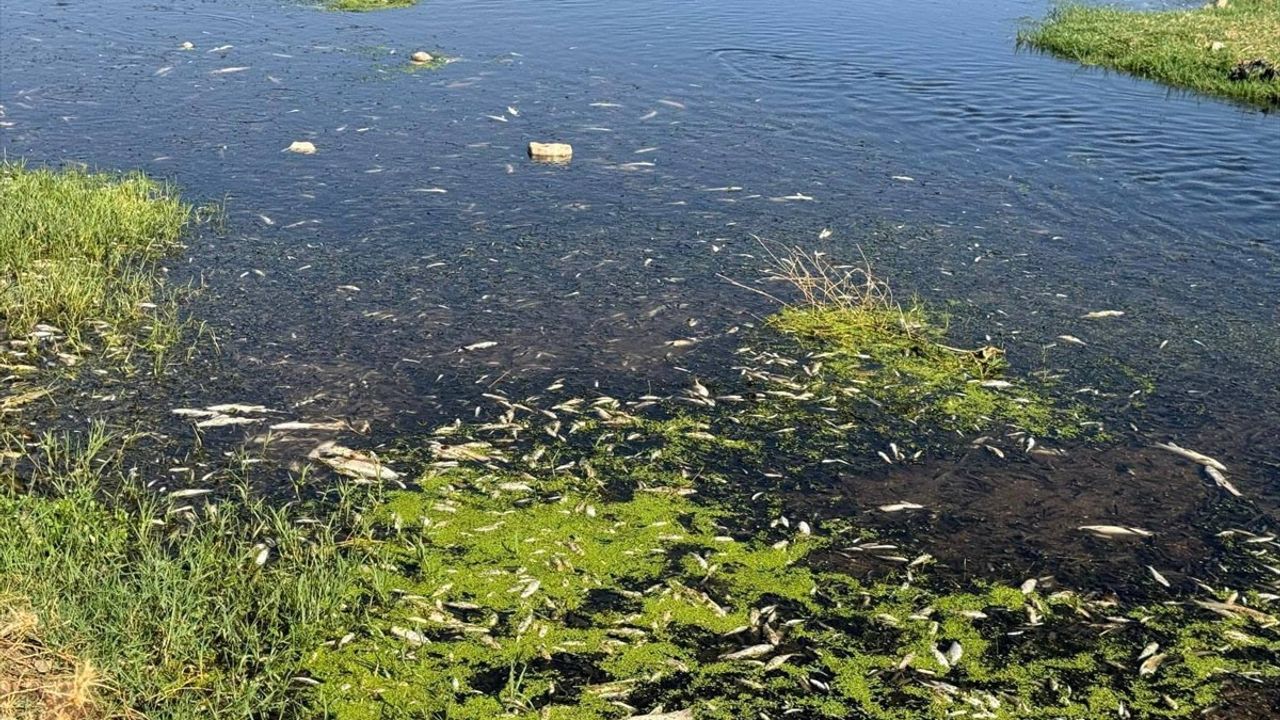 Gaziantep'te Atık Su Krizi: İşletmeye Cezaya Kesildi