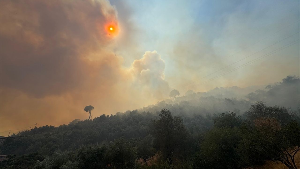 Germencik'teki Yangına Hızla Müdahele Ediliyor