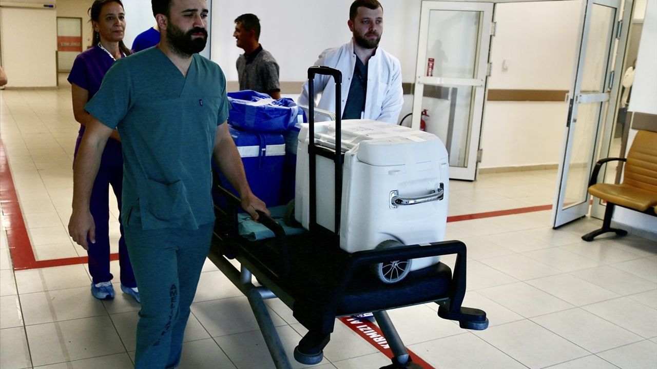 Giresun'da Organ Bağışı İle 3 Hastaya Umut Olundu