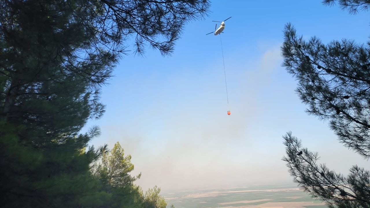 Hatay'da Orman Yangını Kontrol Altına Alındı