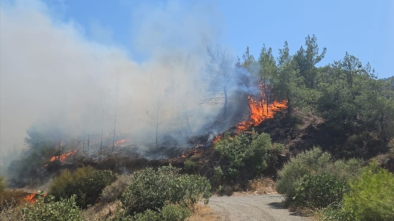 Hatay'da Orman Yangınına Hızla Müdahale Ediliyor