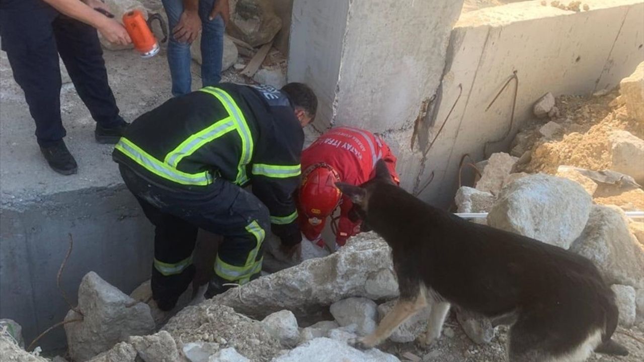 Hatay'da Yıkıntılar Arasında Mahsur Kalan 5 Köpek Yavrusunun Kurtarılması