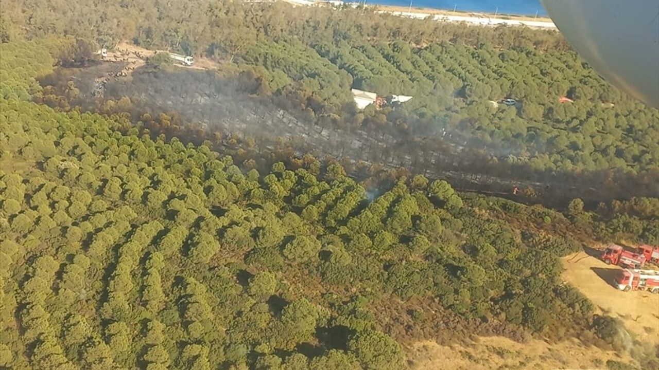 İzmir Aliağa'da Orman Yangınına Hızla Müdahale Ediliyor