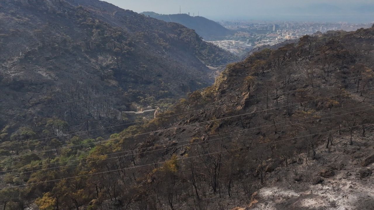 İzmir'deki Orman Yangını Havadan Görüntülendi