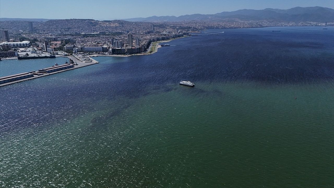 İzmir Körfezi'nde Balık Ölümleri Üzerine İnceleme Başlatıldı