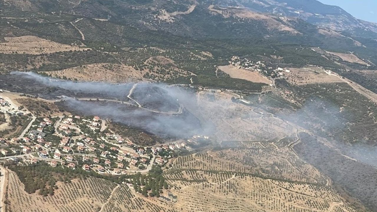 İzmir Urla'da Yangına Hızla Müdahale Ediliyor