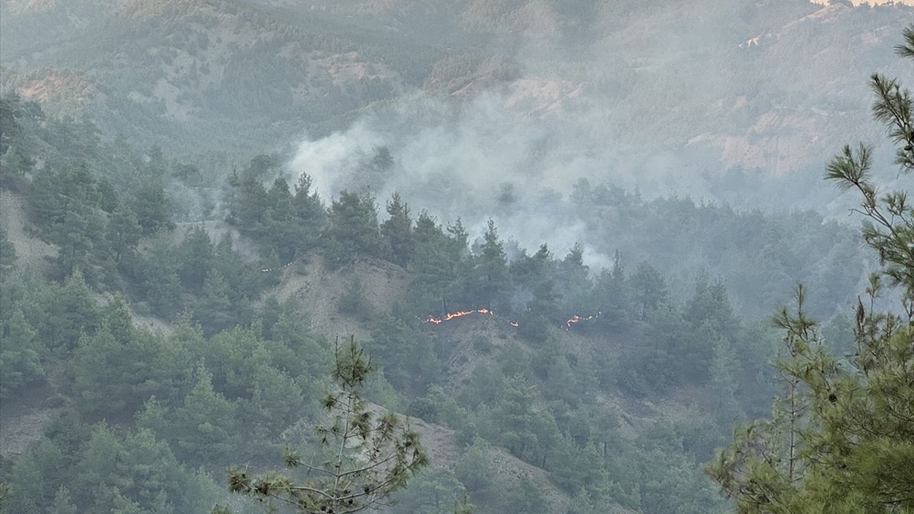 Kahramanmaraş'ta Orman Yangınına Mücadele Devam Ediyor