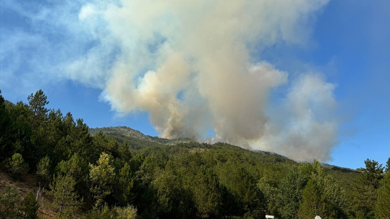 Karabük'te Orman Yangınına Hızla Müdahale Ediliyor