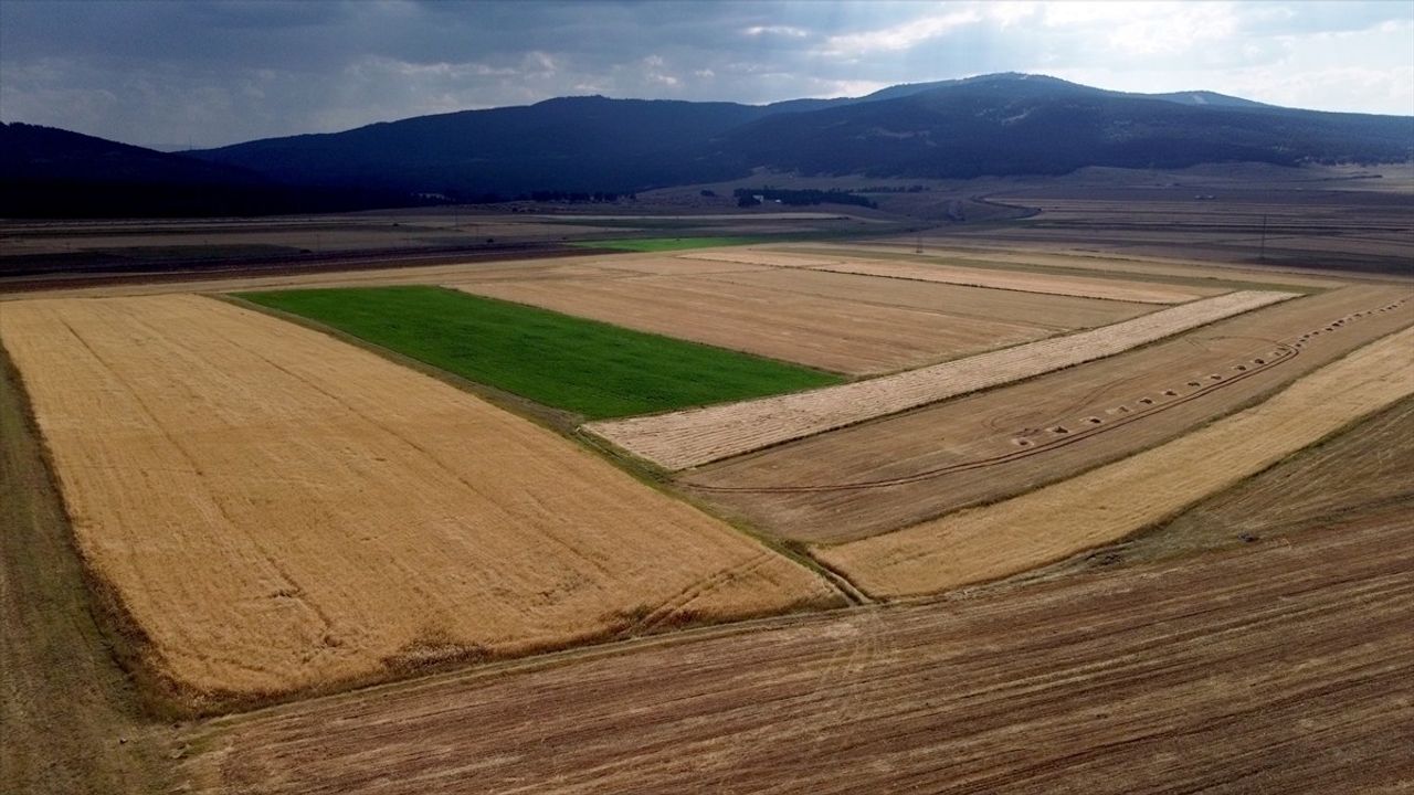 Kars'ta İşlenmeyen Tarım Arazileri Çiftçilere Kiralanacak