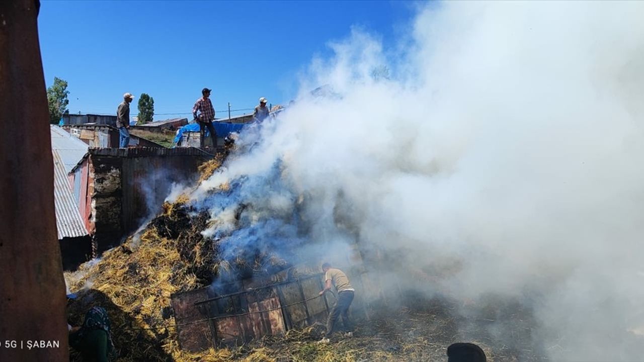 Kars'ta Yangın Felaketi: Besicinin Otları Kül Oldu