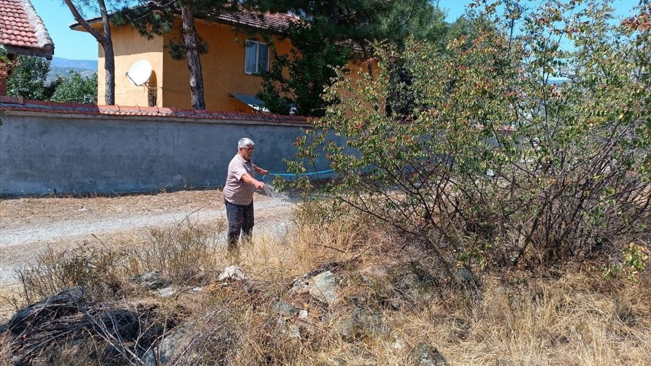 Kastamonu'da Anız Yangını Kontrol Altına Alındı